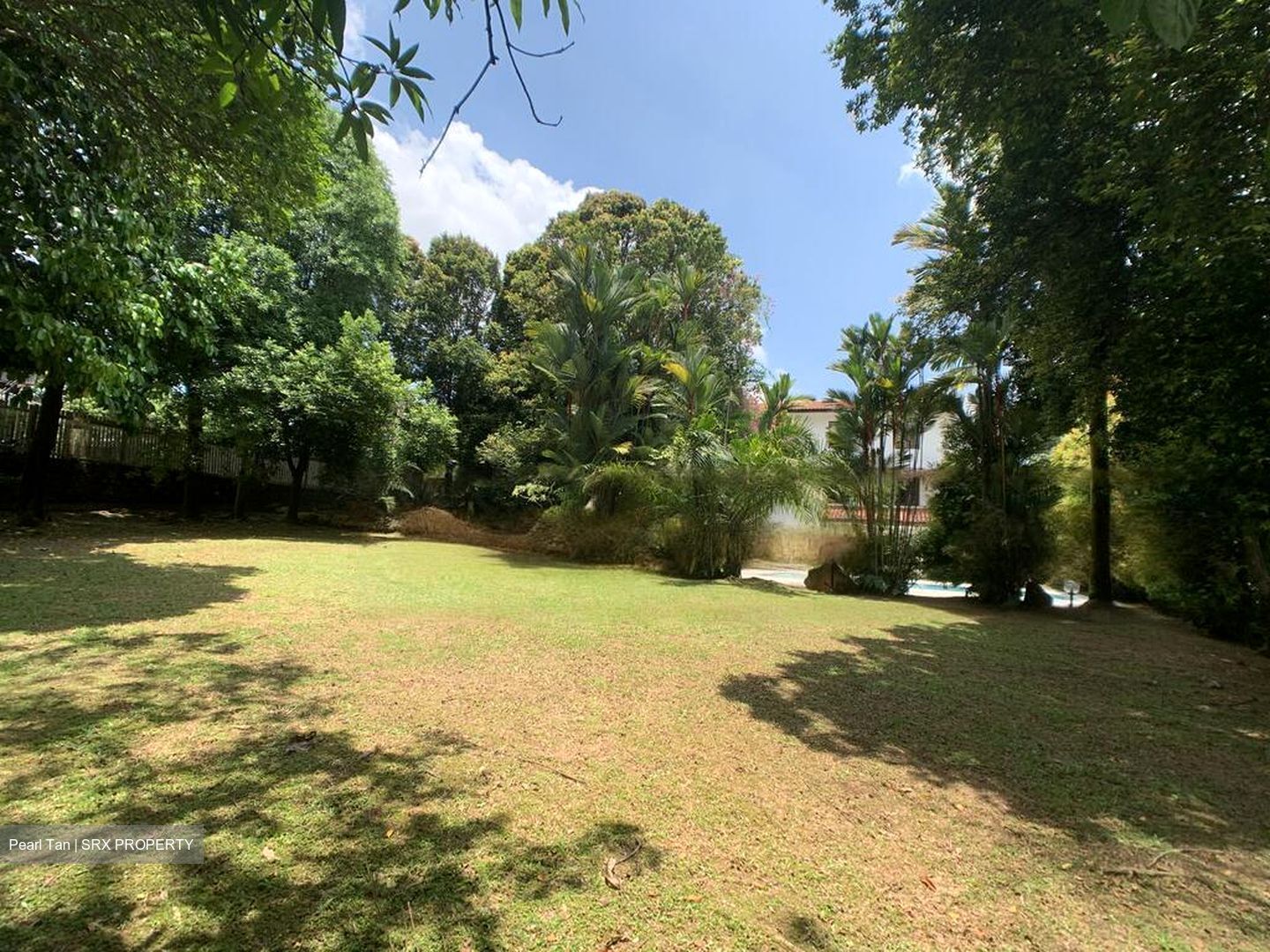 King Albert Park (D21), Detached #460719201